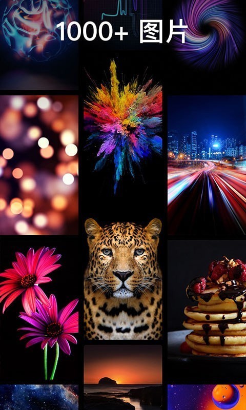 灵猫主题壁纸截图 灵猫主题壁纸截图