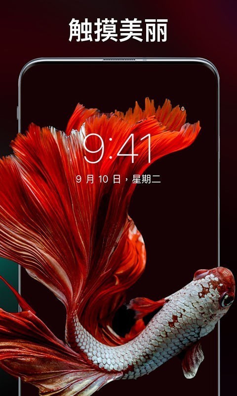 灵猫主题壁纸截图 灵猫主题壁纸截图