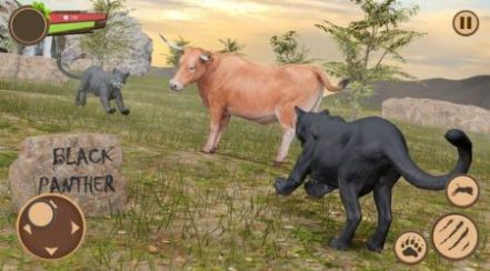 黑色美洲豹截图 黑色美洲豹截图