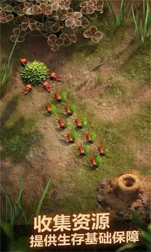 荒野蚂蚁模拟截图 荒野蚂蚁模拟截图
