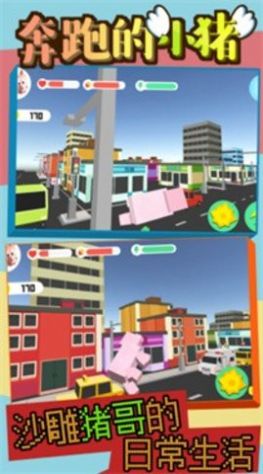 奔跑的小猪截图 奔跑的小猪截图