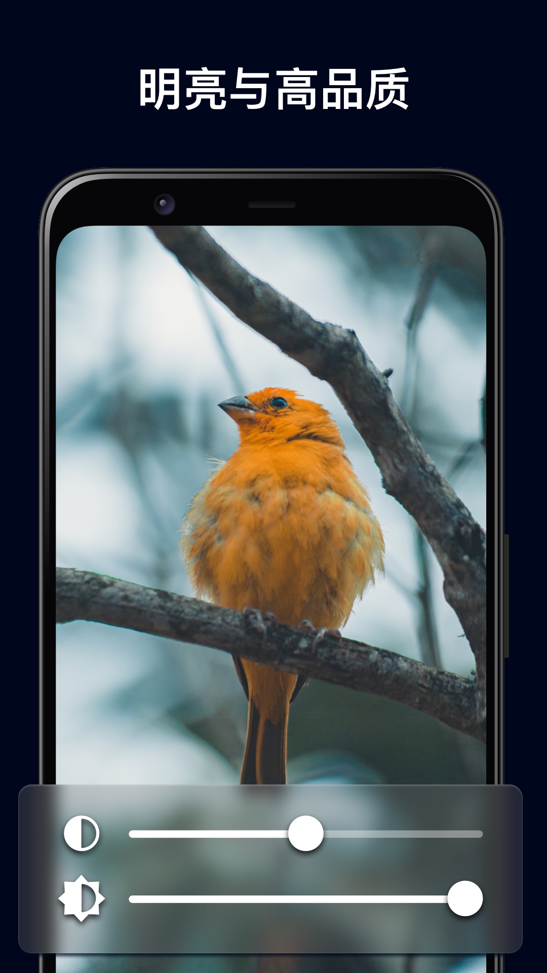 放大镜相机截图 放大镜相机截图