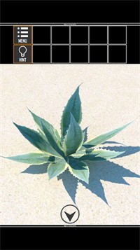 海上荒岛逃生截图 海上荒岛逃生截图