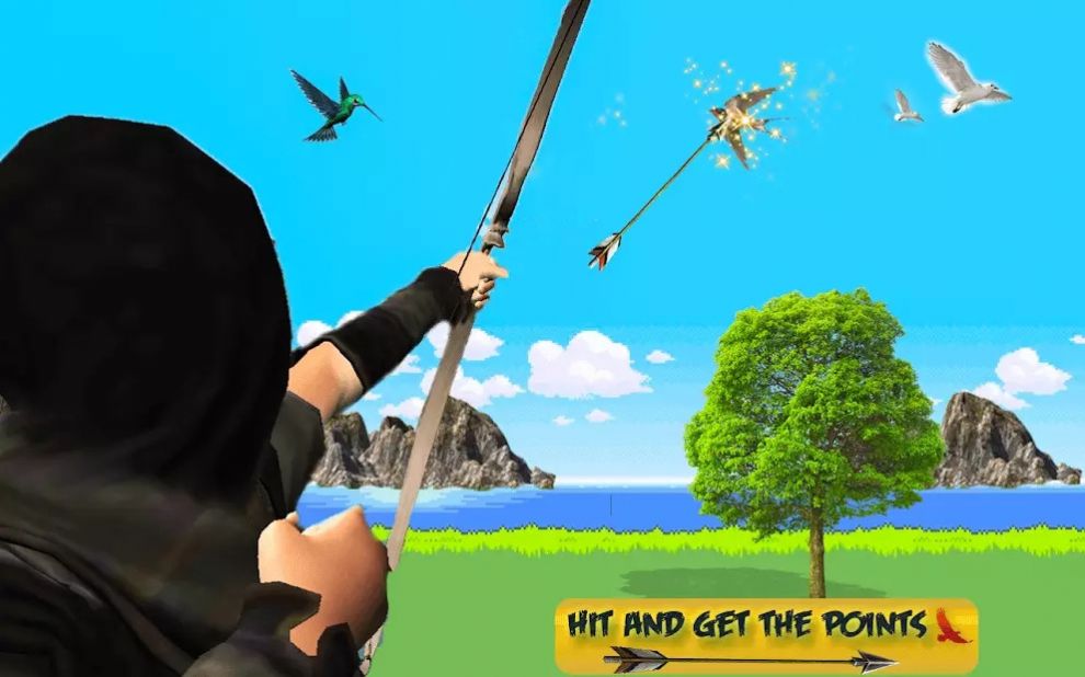 鸟狩猎疯狂截图 鸟狩猎疯狂截图