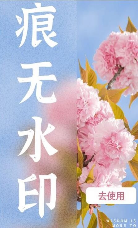 水印扣除截图 水印扣除截图