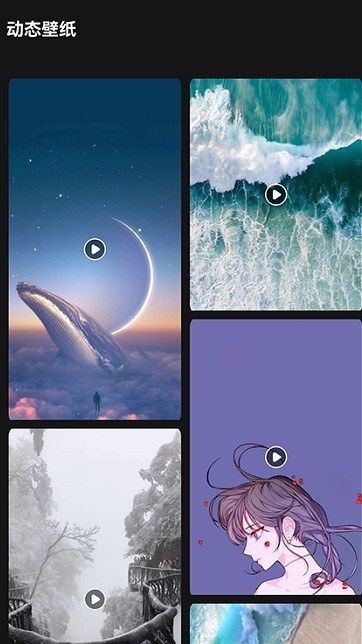 lr壁纸大全截图 lr壁纸大全截图