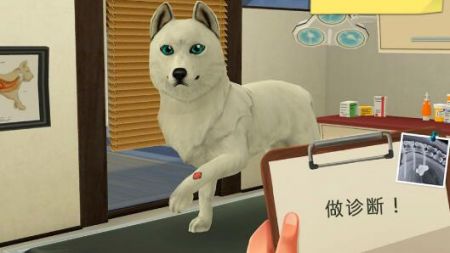 宠物救助模拟器截图 宠物救助模拟器截图