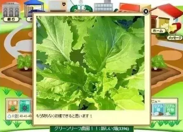 旅游鸡截图 旅游鸡截图