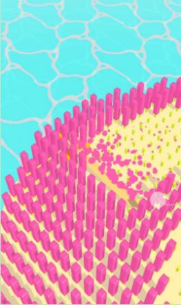 令人满意的切片截图 令人满意的切片截图