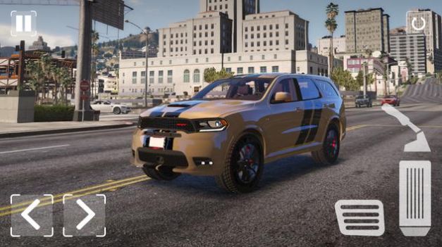 杜兰戈模拟器截图 杜兰戈模拟器截图