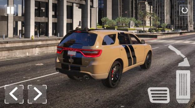 杜兰戈模拟器截图 杜兰戈模拟器截图