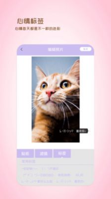 全能美日相机截图 全能美日相机截图