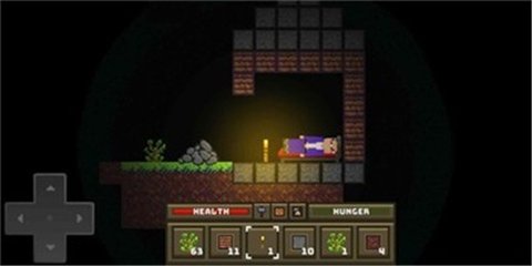 菜鸟生存模拟器截图