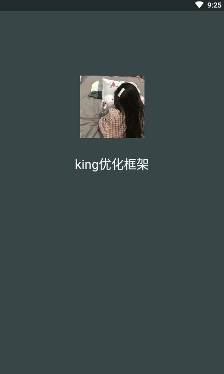 king优化框架截图 king优化框架截图