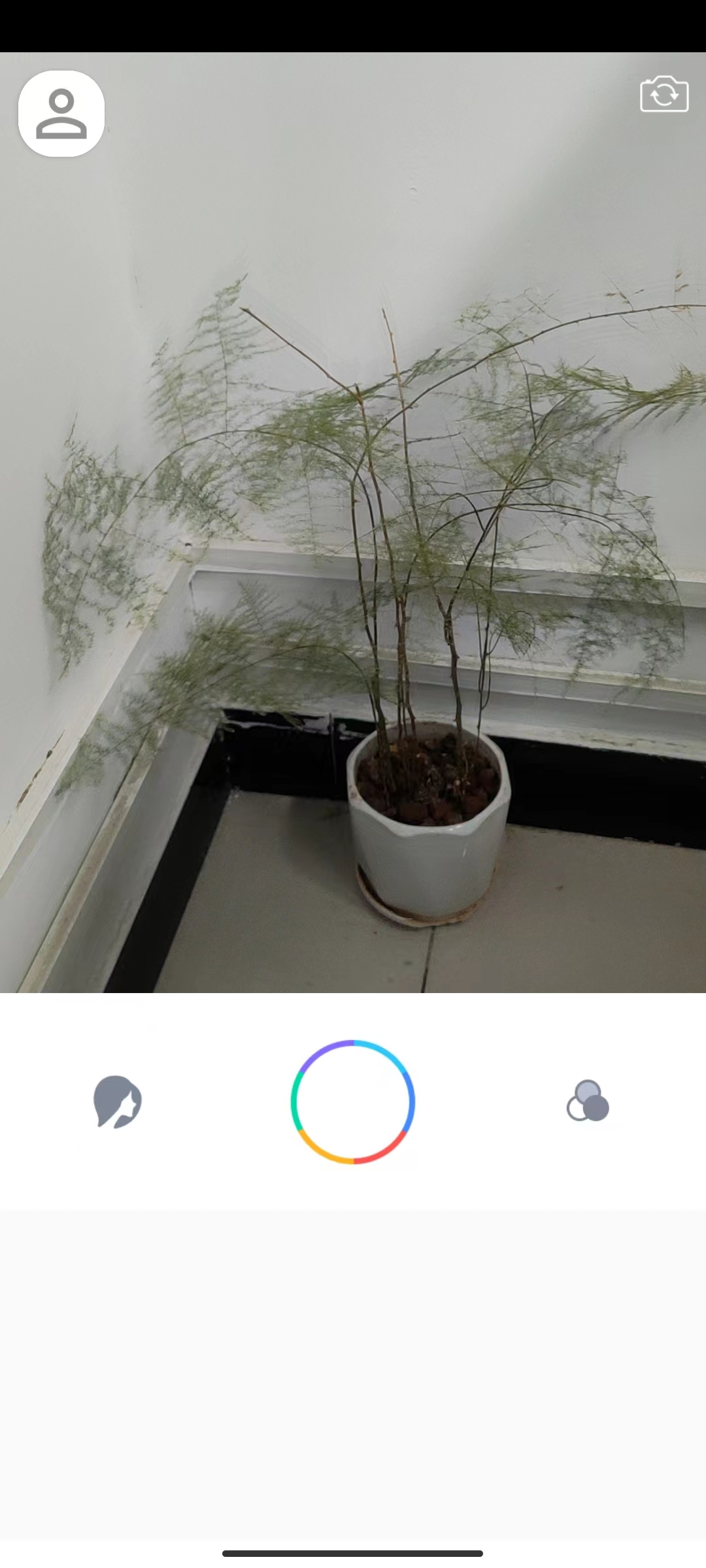 惊鸿相机截图 惊鸿相机截图