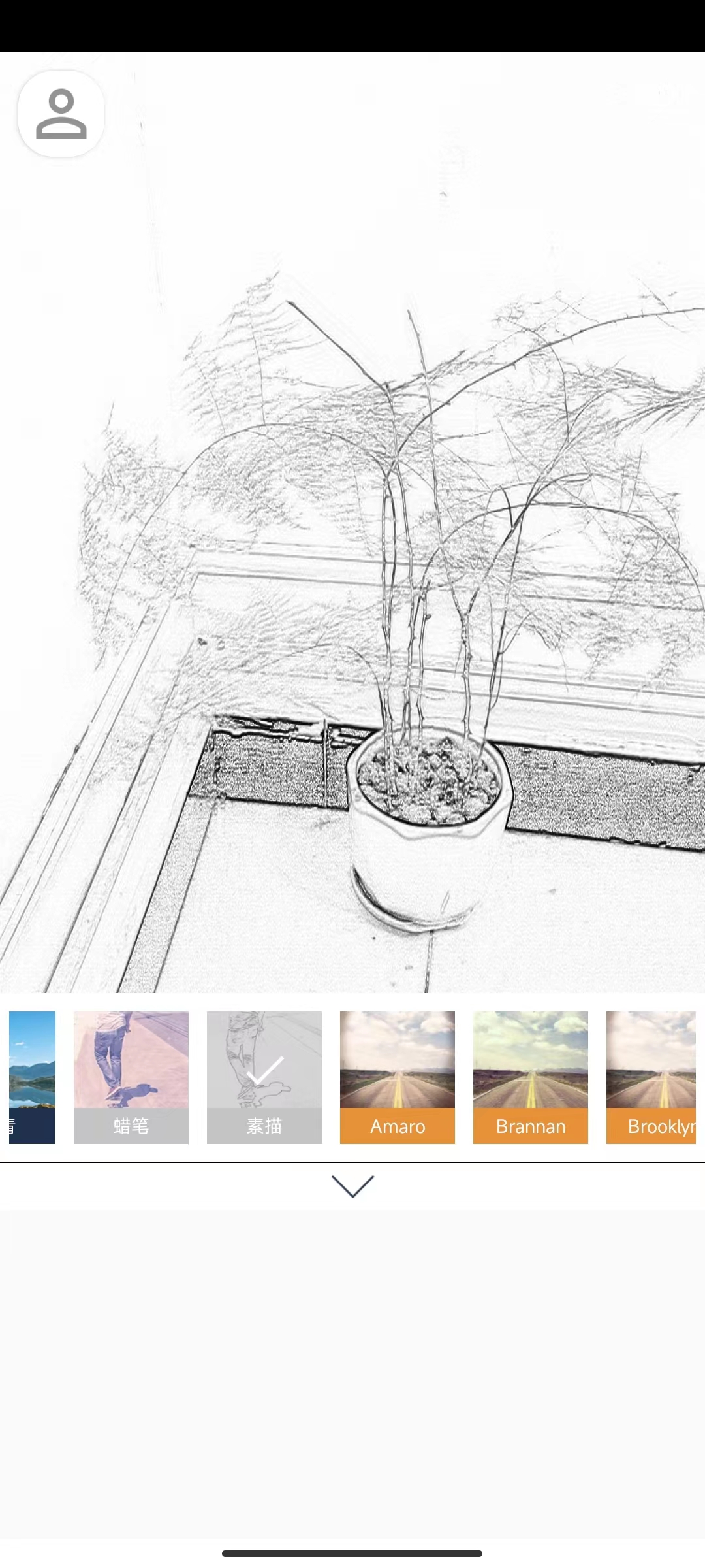 惊鸿相机截图 惊鸿相机截图