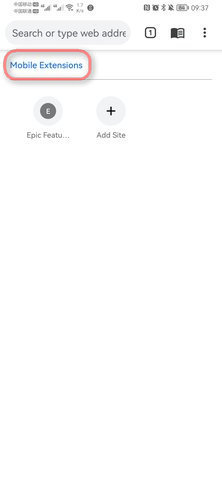 epic浏览器截图 epic浏览器截图