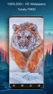 百万高清壁纸截图 百万高清壁纸截图