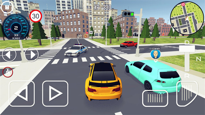 真实模拟城市跑车截图
