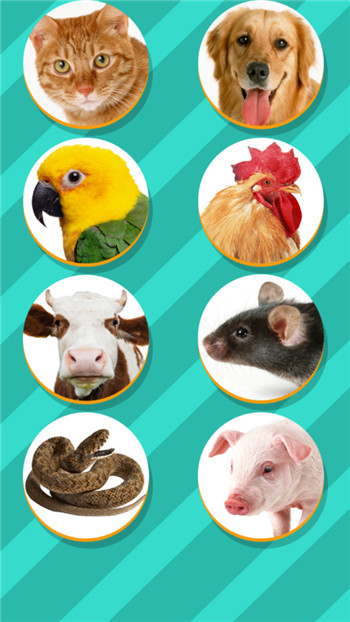 pet translator截图 pet translator截图