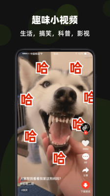 火萤视频壁纸截图 火萤视频壁纸截图