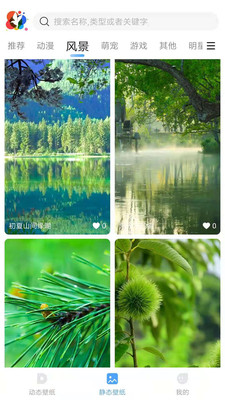 小鸟壁纸去广告版截图 小鸟壁纸去广告版截图