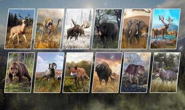 荒野猎鹿截图 荒野猎鹿截图