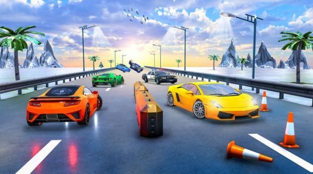 警车追逐逃跑比赛截图 警车追逐逃跑比赛截图