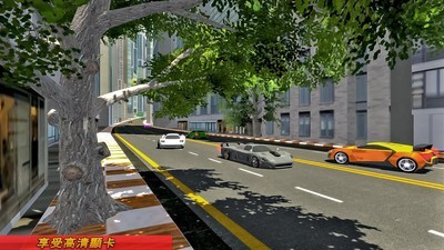 疯狂赛车追逐截图 疯狂赛车追逐截图