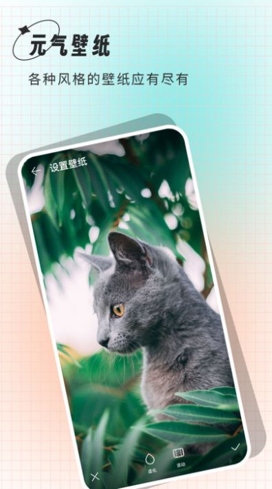 小鲸鱼壁纸截图 小鲸鱼壁纸截图