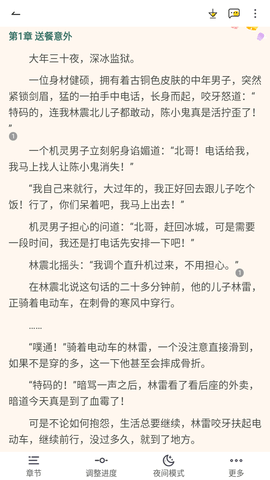 星容小说截图 星容小说截图