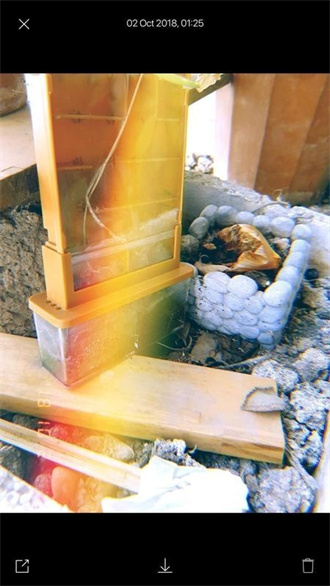 1998Cam免费版截图