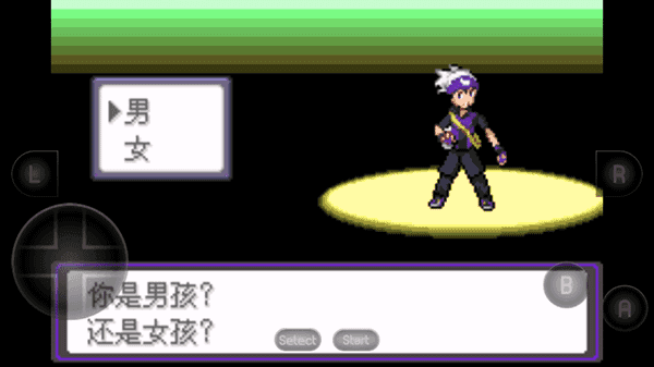 口袋妖怪漆黑的魅影1.5截图 口袋妖怪漆黑的魅影1.5截图