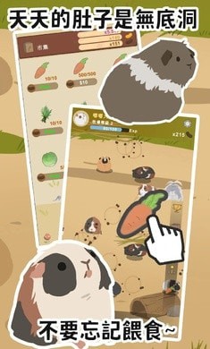 天竺鼠农场截图 天竺鼠农场截图