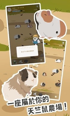 天竺鼠农场截图 天竺鼠农场截图