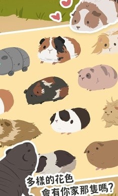 天竺鼠农场截图 天竺鼠农场截图