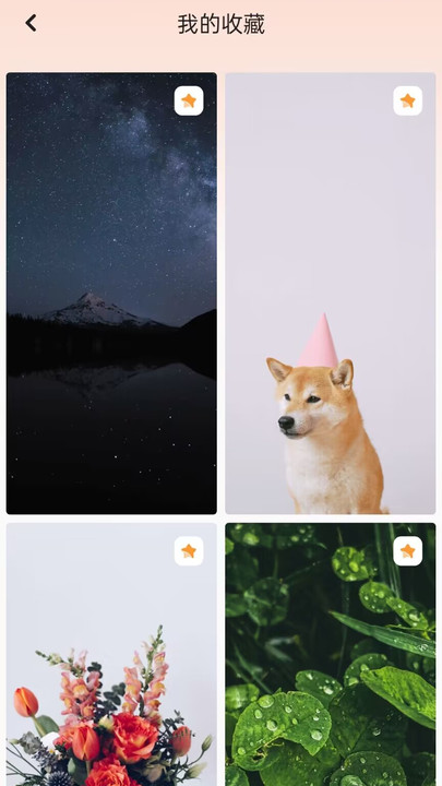 天天换壁纸截图