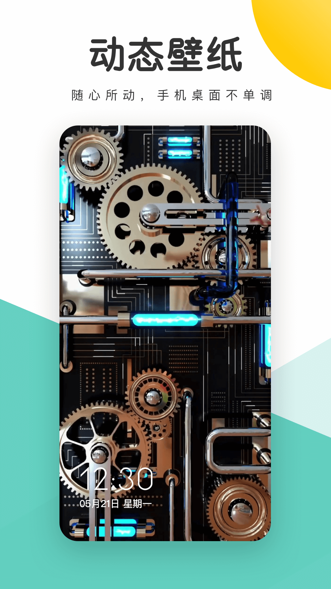 蜻蜓壁纸截图 蜻蜓壁纸截图