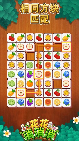 花花消消消截图 花花消消消截图