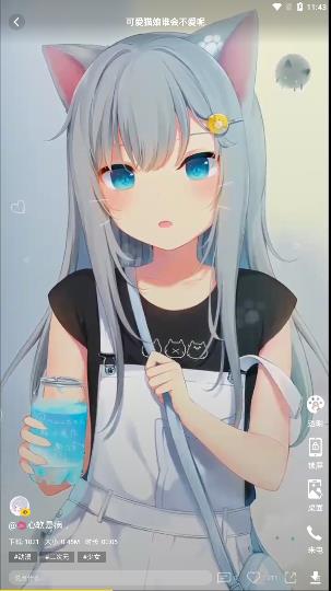 熊猫动态壁纸截图