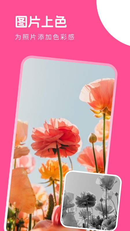 萌喵相机截图 萌喵相机截图