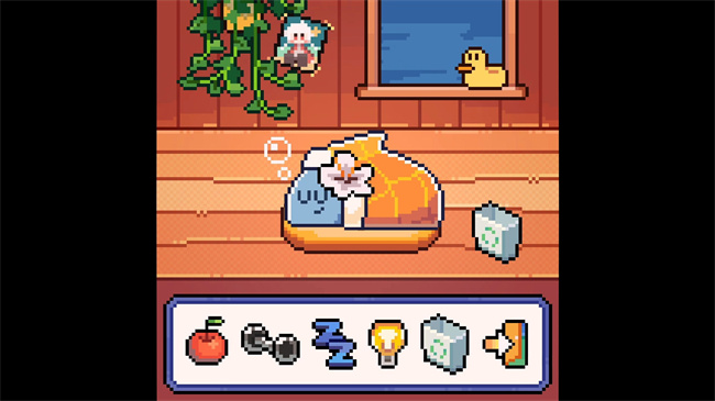 我的小鲨鱼截图 我的小鲨鱼截图