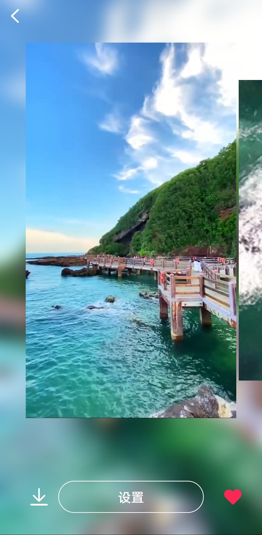 桃桃壁纸截图 桃桃壁纸截图