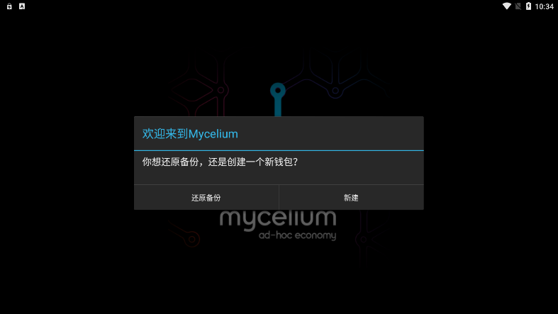 Mycelium钱包截图 Mycelium钱包截图