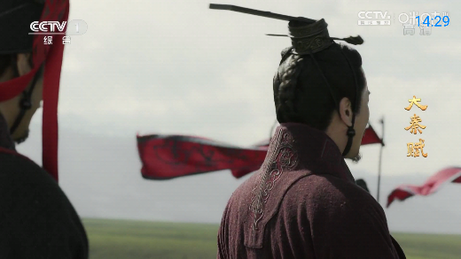 神鸟电视免费版截图