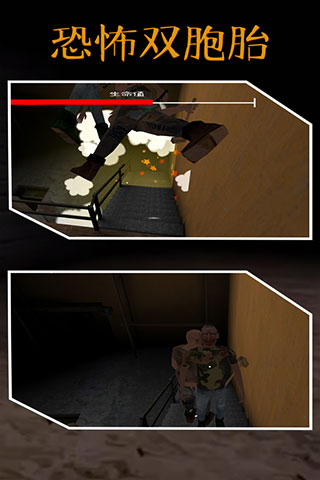 恐怖双胞胎截图 恐怖双胞胎截图