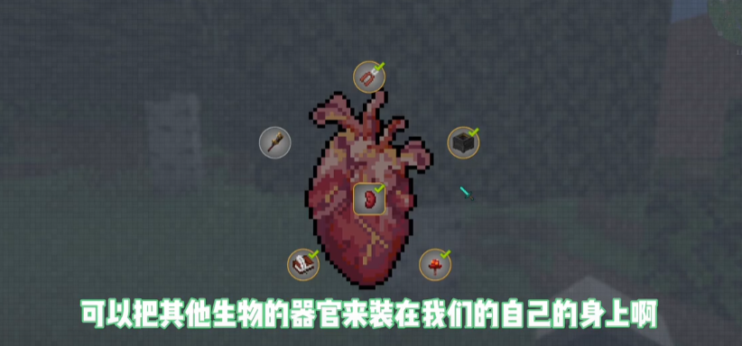 我的世界脆骨症截图 我的世界脆骨症截图