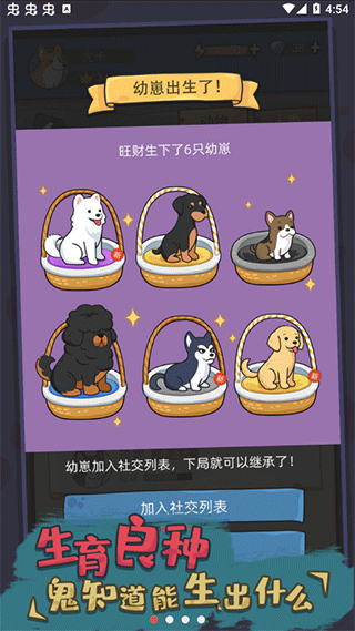 狗生模拟器免广告最新版截图