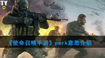 《使命召唤》手游 perk意思介绍