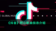 《抖音》野心歌曲信息介绍